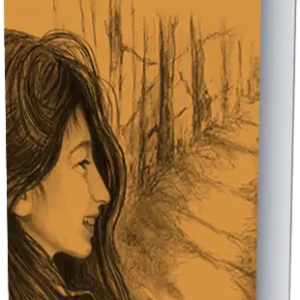 La Strada di Casa (Libro)